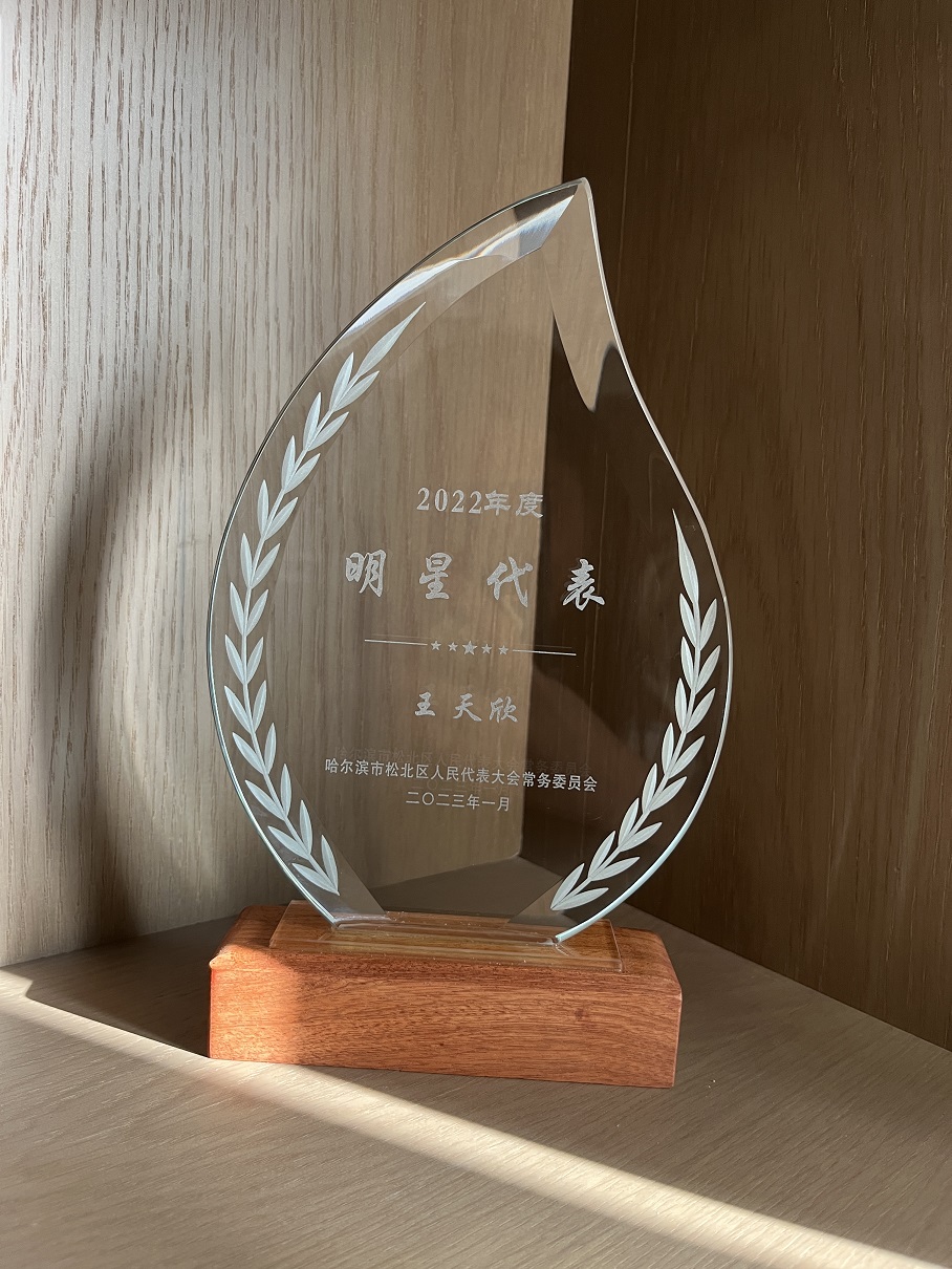 王天欣松北區(qū)人大******明星代表